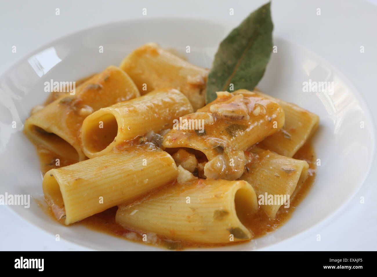 Tubes of southern Italian paccheri pasta served with a tomato sauce and pieces of scorpion fish in Monopoli, Apulia, Italy Stock Photo