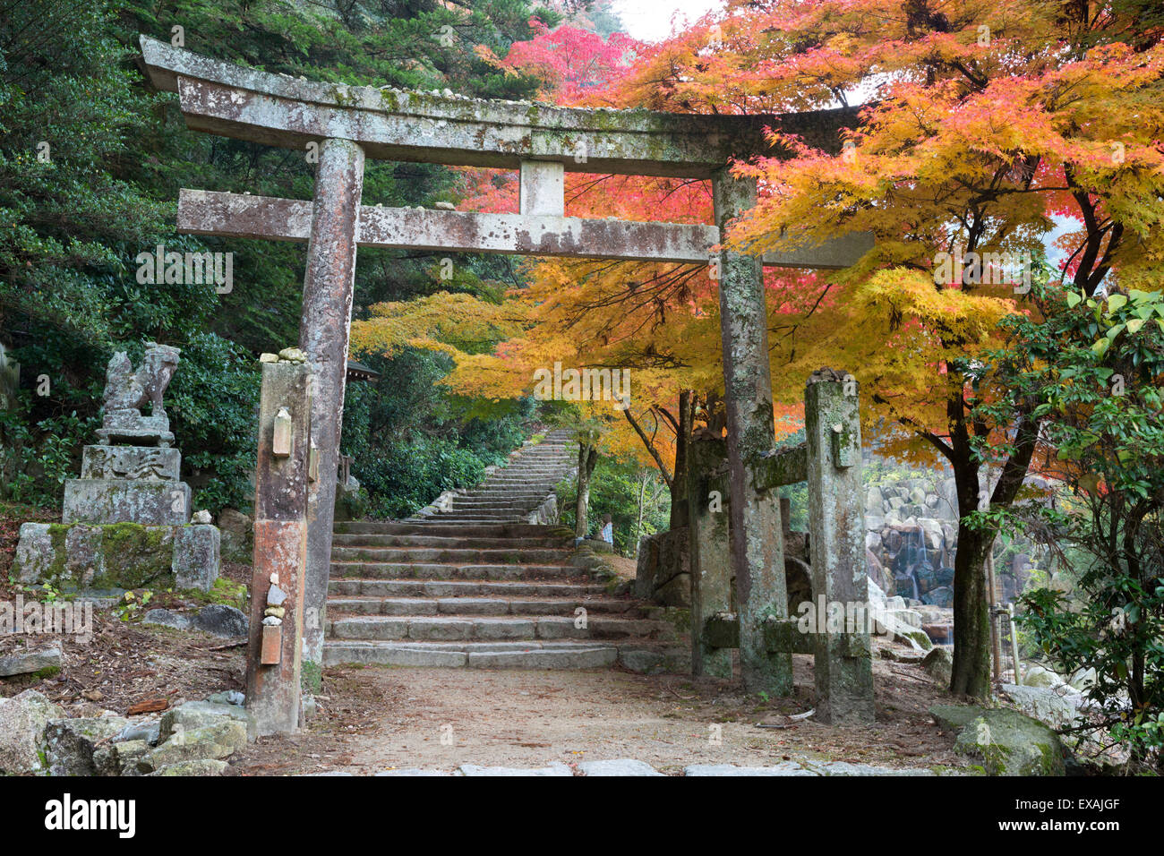 Torii gate and steps of Daisho-in temple in autumn, Miyajima Island, Western Honshu, Japan, Asia Stock Photo