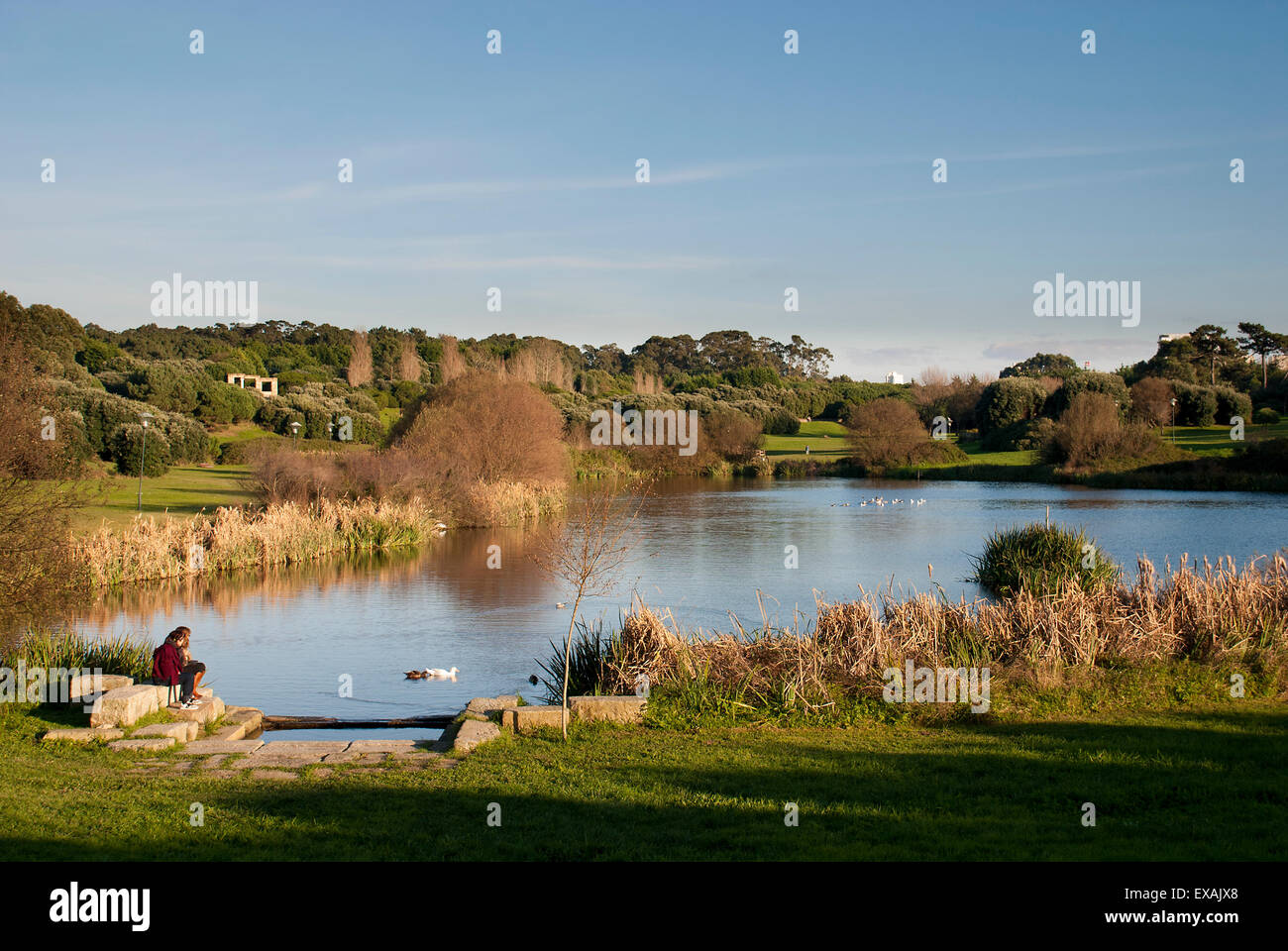 Porto city park hi-res stock photography and images - Alamy