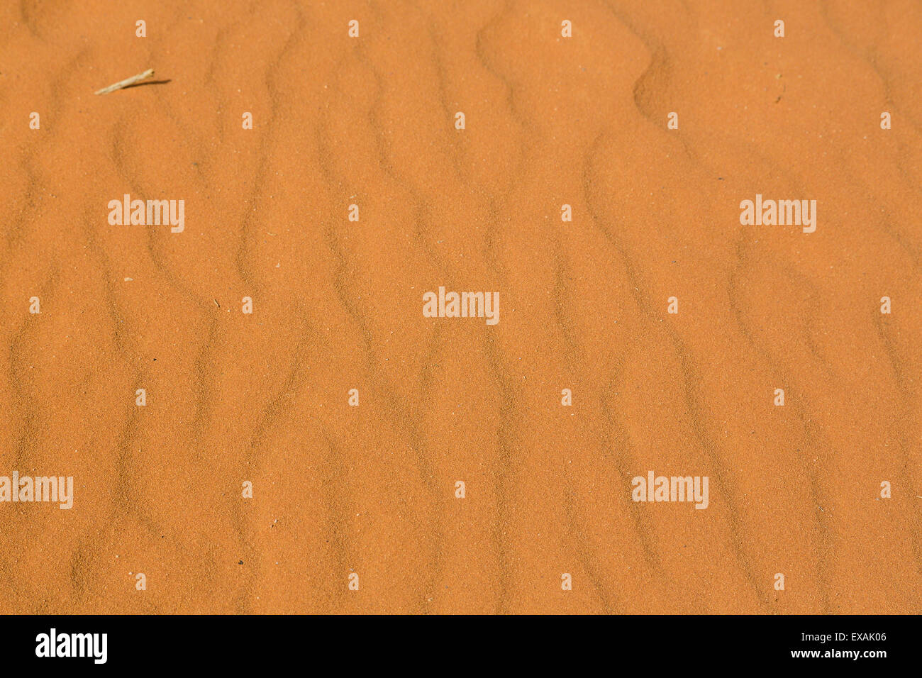 Wadi Rum, Jordan. Abstract detail image of golden sand. Stock Photo