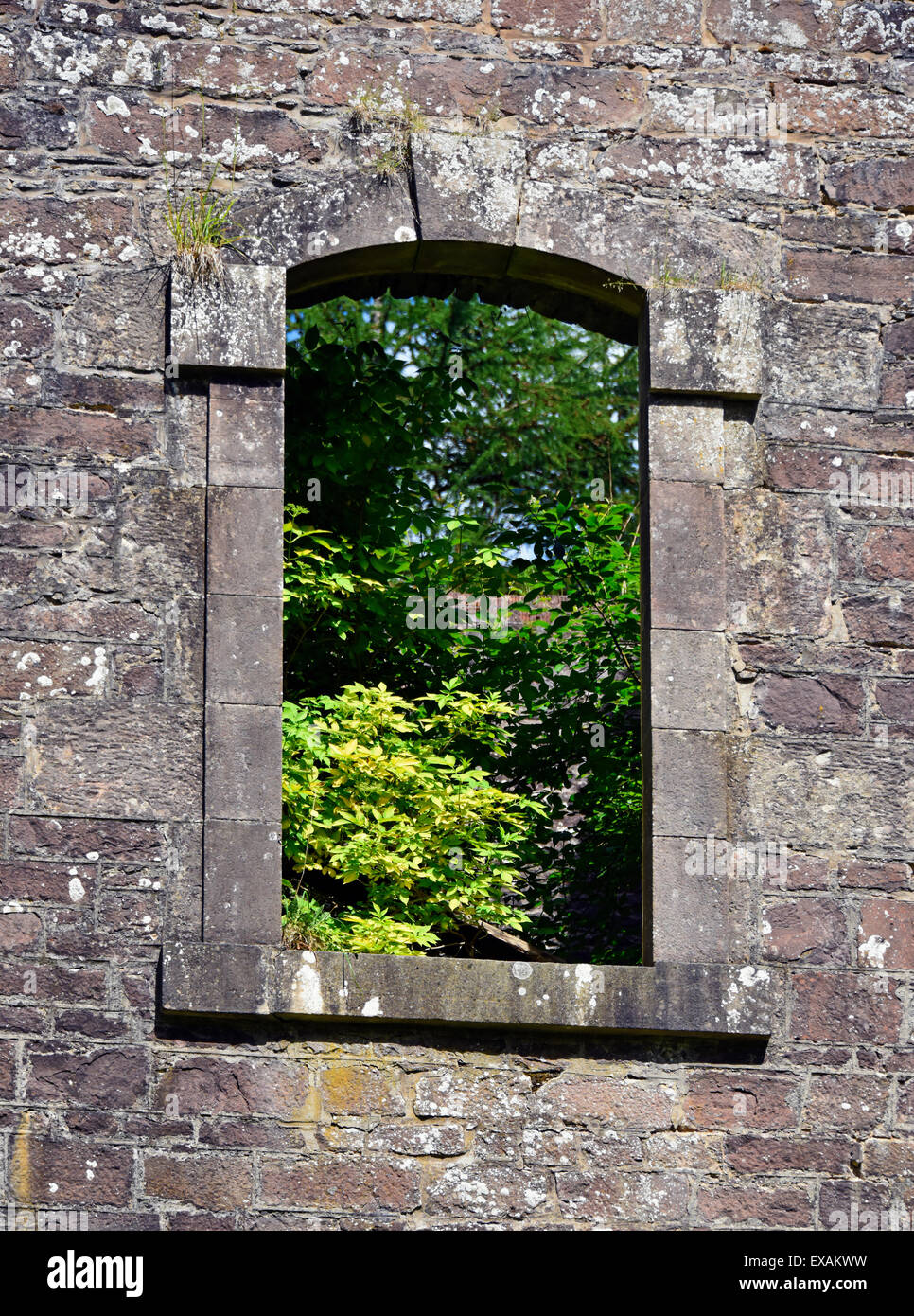 Window detail. Carmichael House, Thankerton, South Lanarkshire