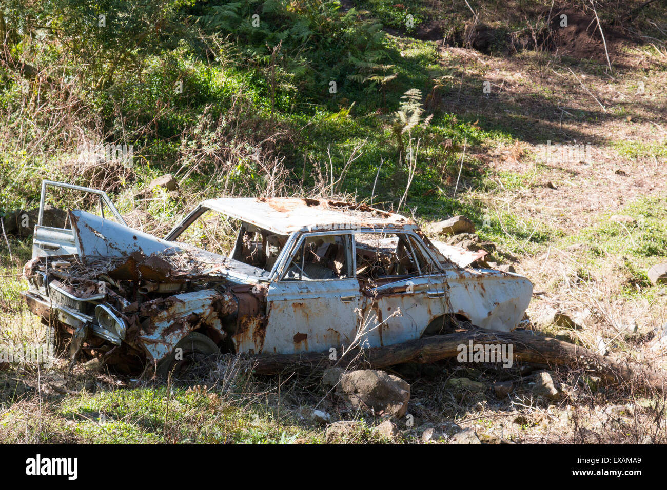 motor vehicle car seemingly pushed over a cliff edge and left to decay, new south wales,australia Stock Photo