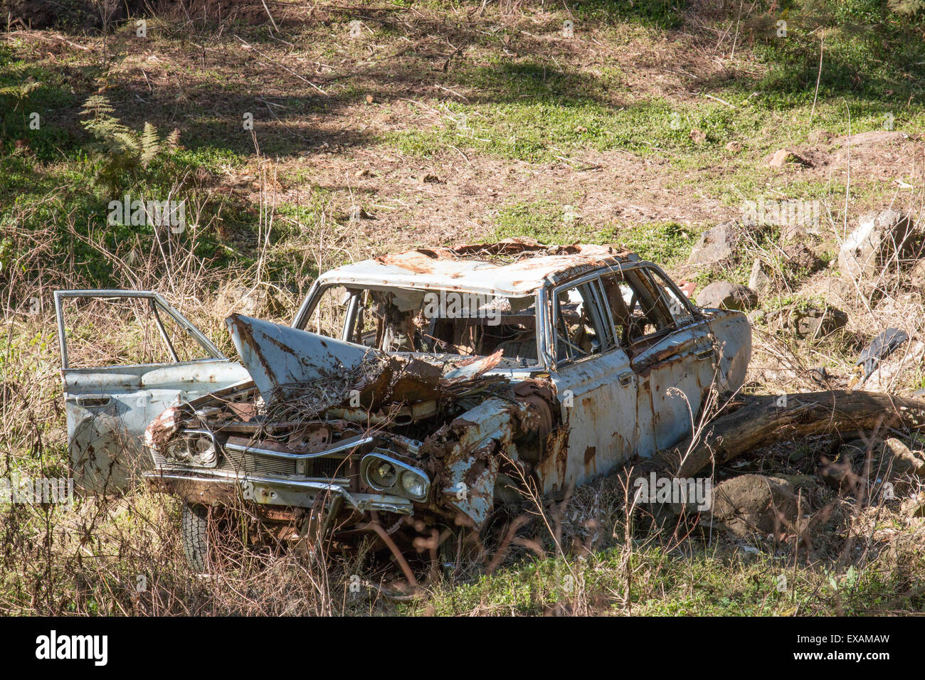 motor vehicle car seemingly pushed over a cliff edge and left to decay, new south wales,australia Stock Photo