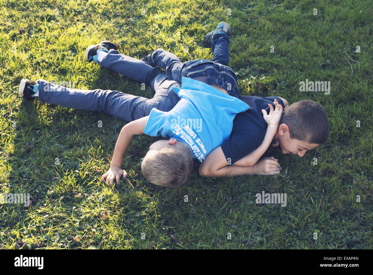 Young brothers playing together on lawn Stock Photo