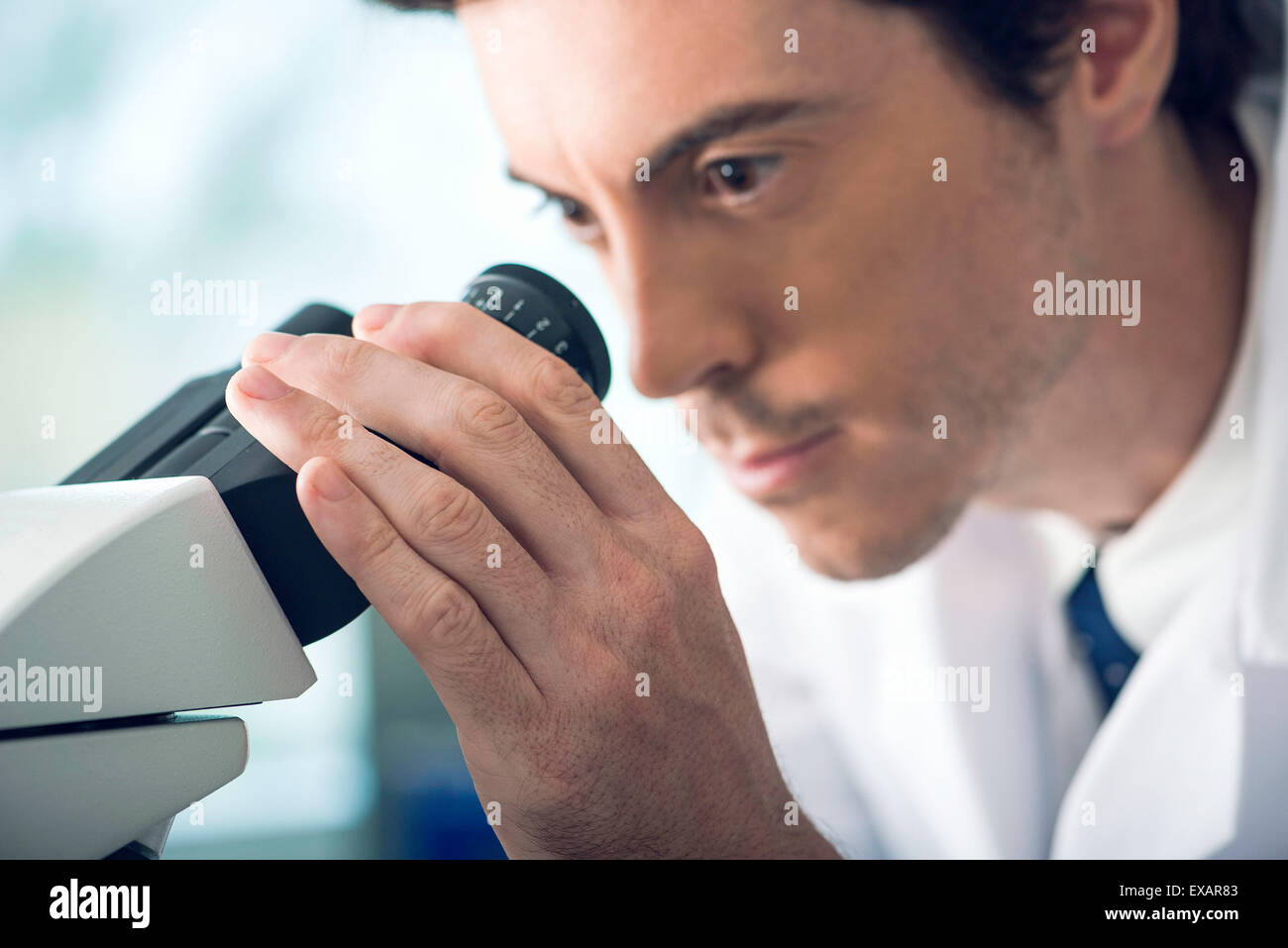 Scientist analyzing specimen under microscope Stock Photo Alamy
