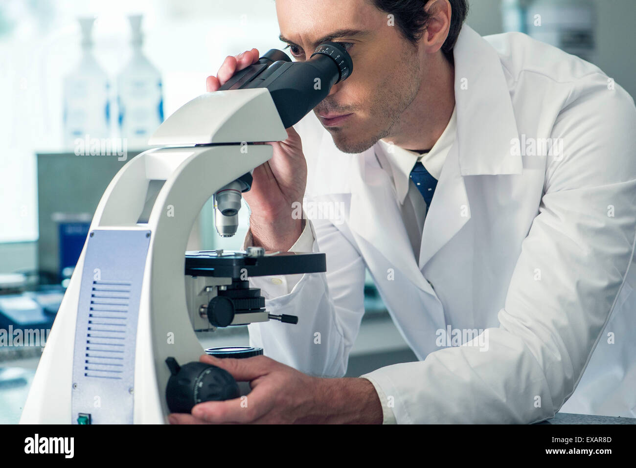 Biologist using microscope Stock Photo Alamy