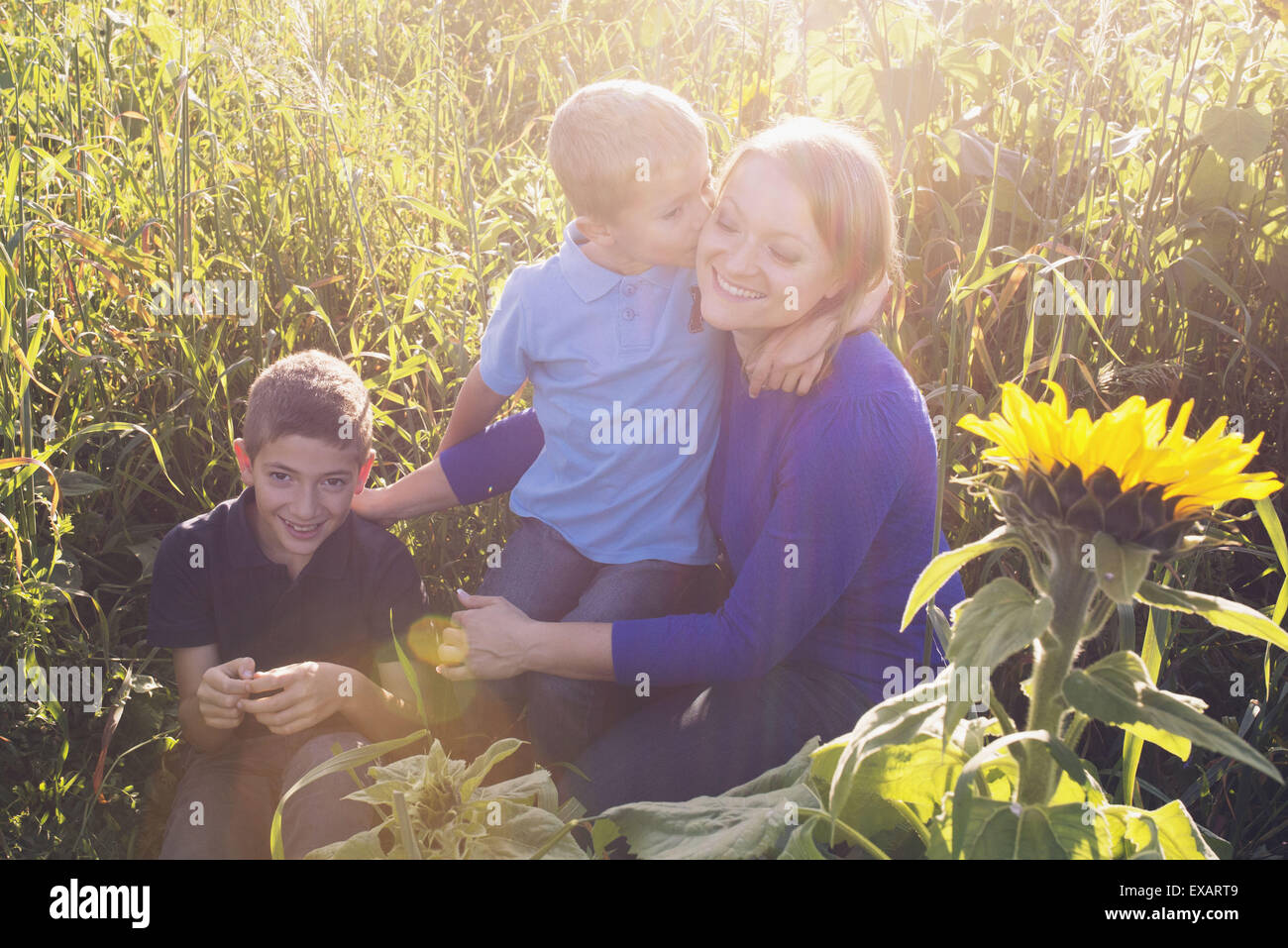 Mother and young sons spending time together in field of sunflowers Stock Photo