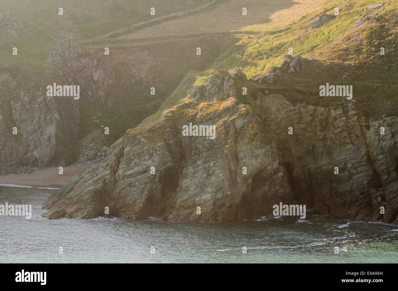 Rocky cliff and coast, East Prawle, Gammon Head, Devon, West Coast, UK Stock Photo