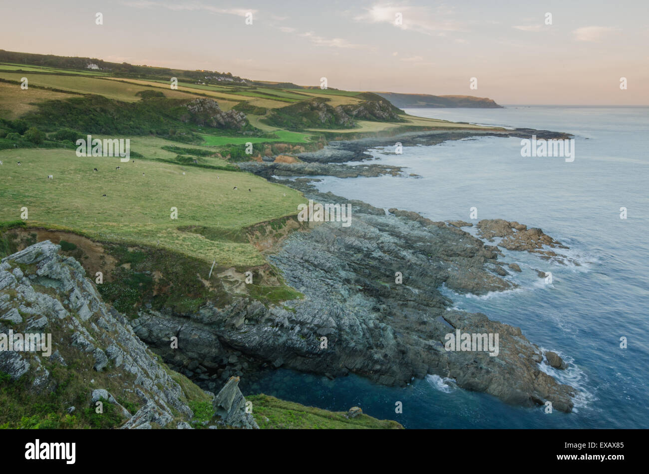 View along the coastline at East Prawle, Gammon Head, Devon, West Coast, UK Stock Photo