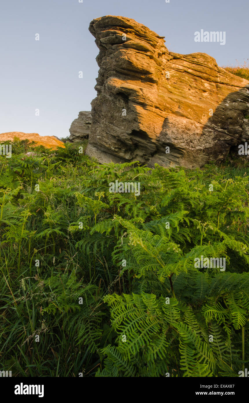 Rocky cliff at East Prawle, Devon, West Coast, UK Stock Photo