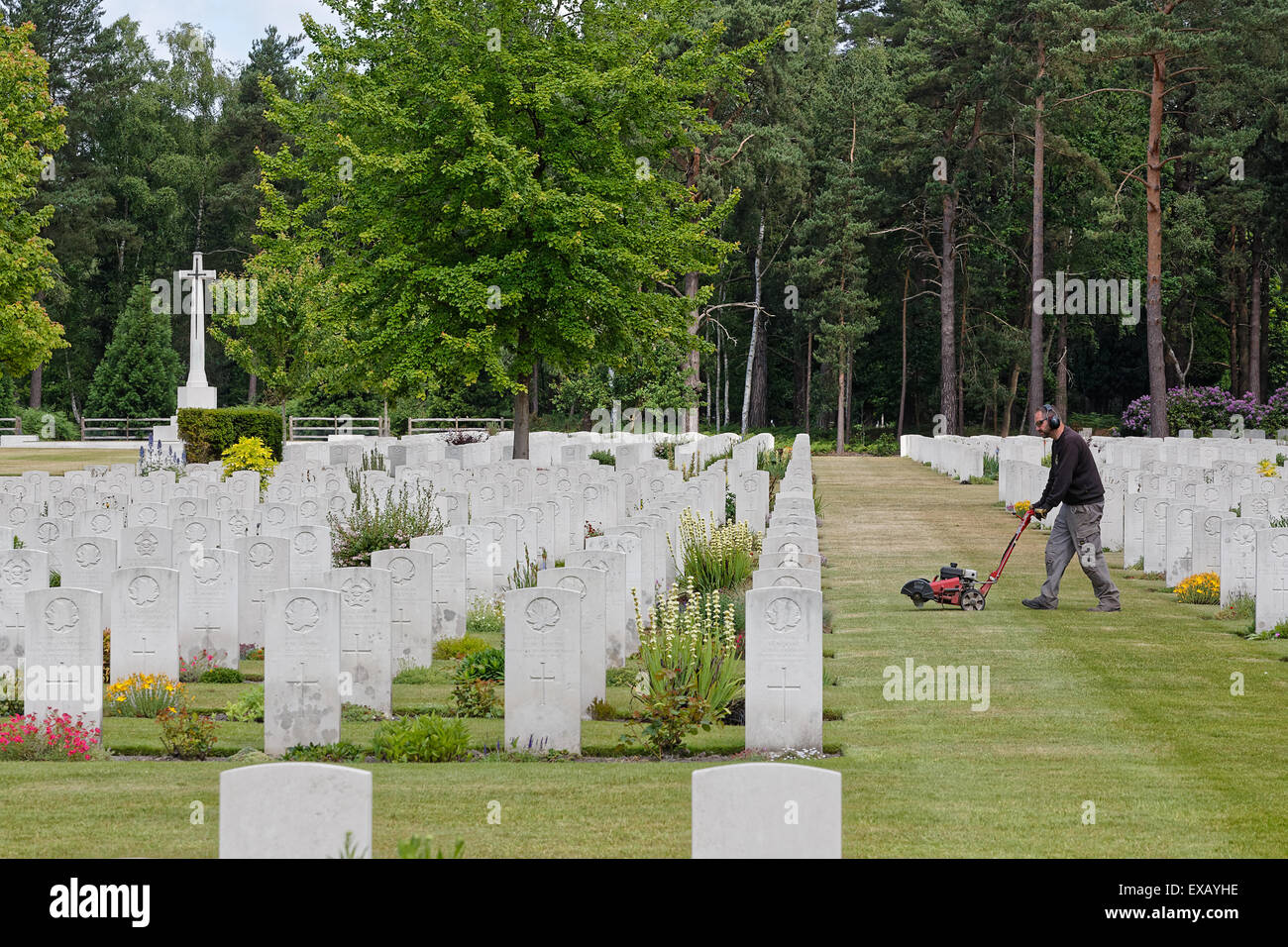 Horticulture at Brookwood Military Cemetery - Gardener with Edging Machine Stock Photo