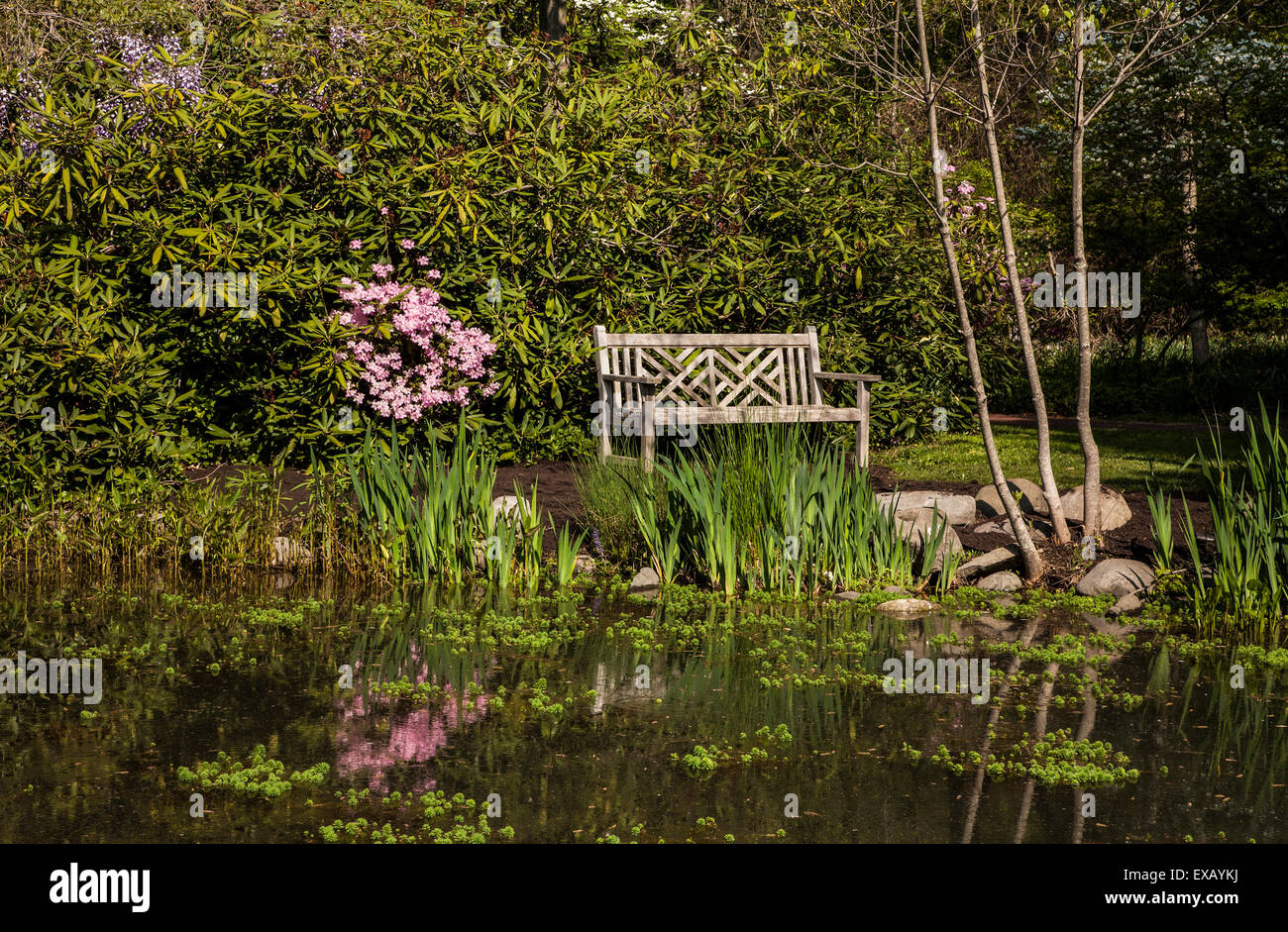 Wooden garden bench or love seat and a pond reflection in Sayen Gardens