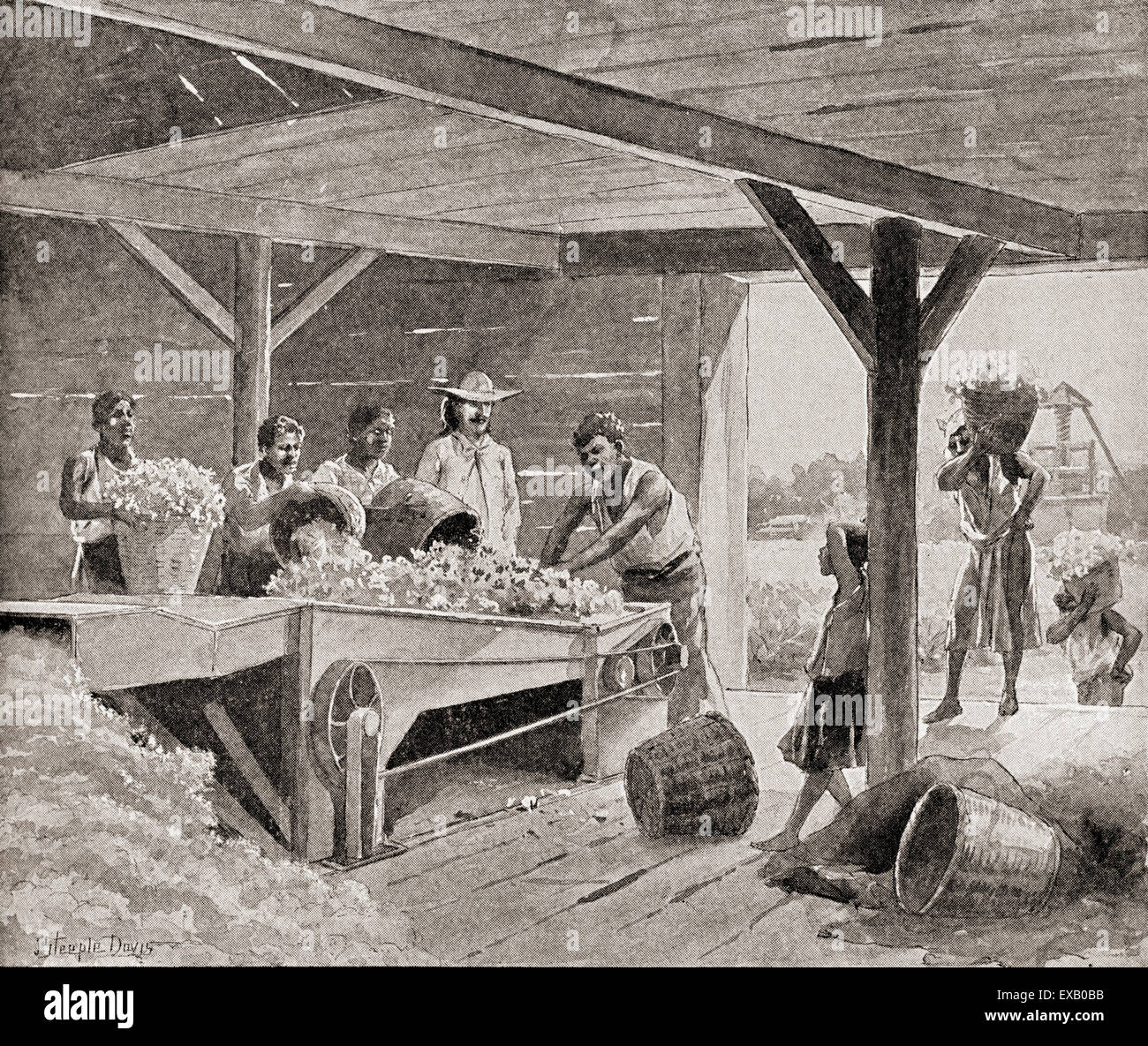 Slaves working with a 19th century cotton gin on a plantation in a southern state of the United States of America. Stock Photo