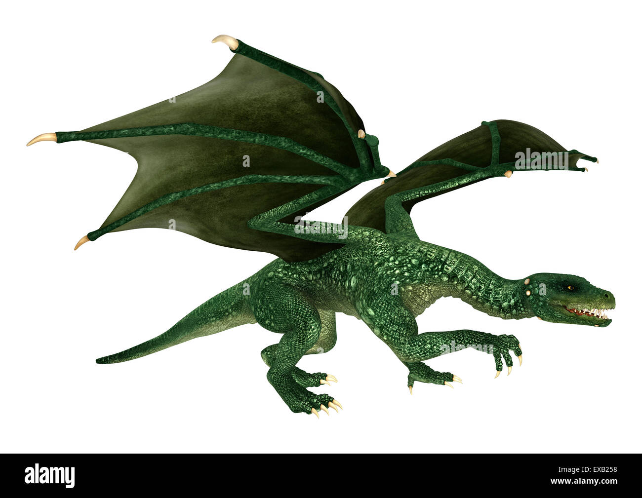 3D digital render of a green fantasy dragon isolated on white ...