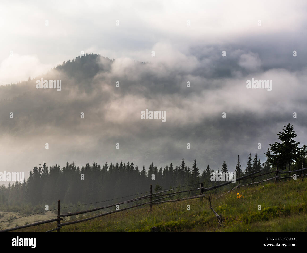 Misty morning in the Carpathians. The Ukraine Stock Photo - Alamy