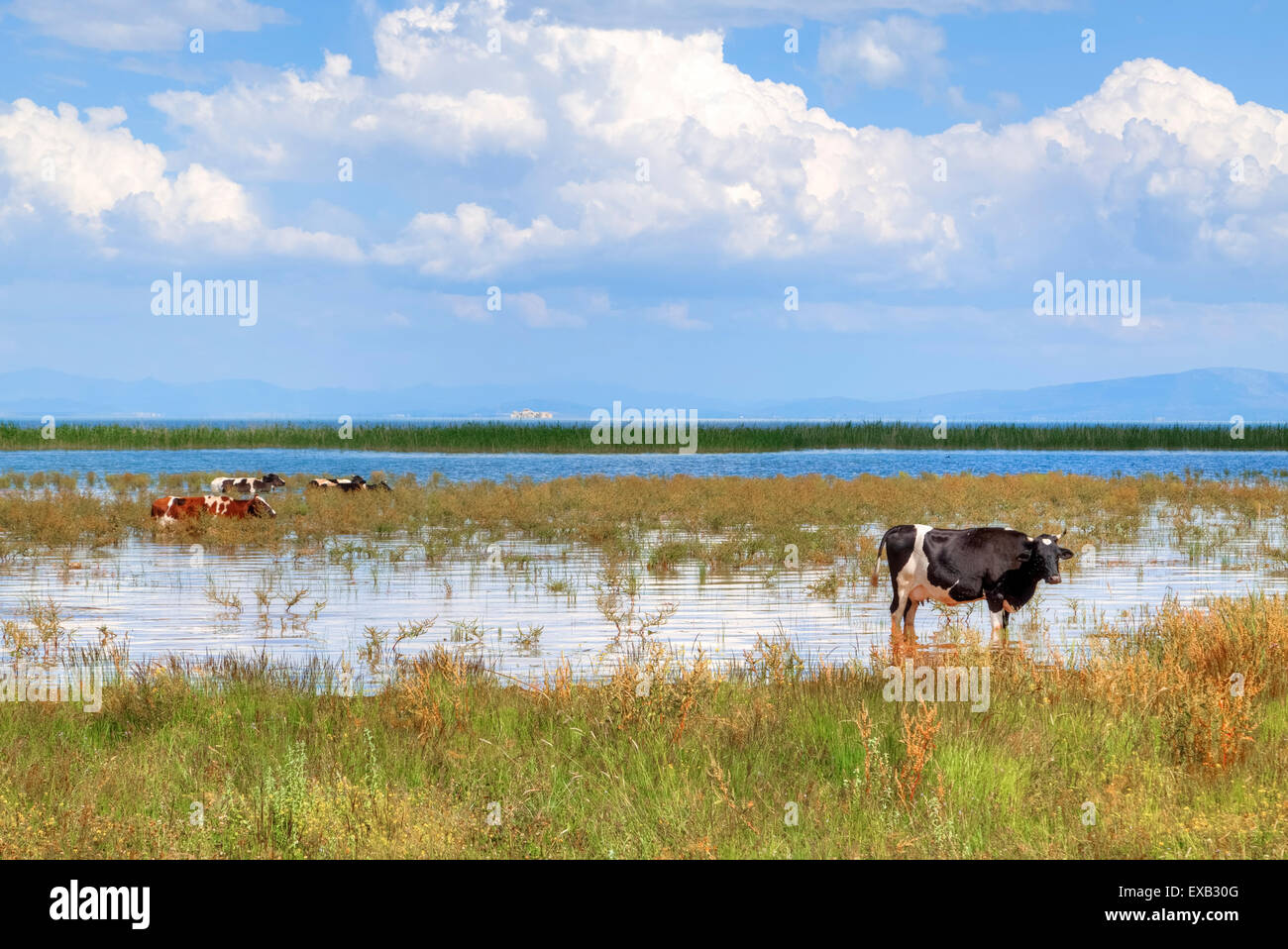 Lake Beysehir, Konya, Anatolia, Turkey Stock Photo Alamy