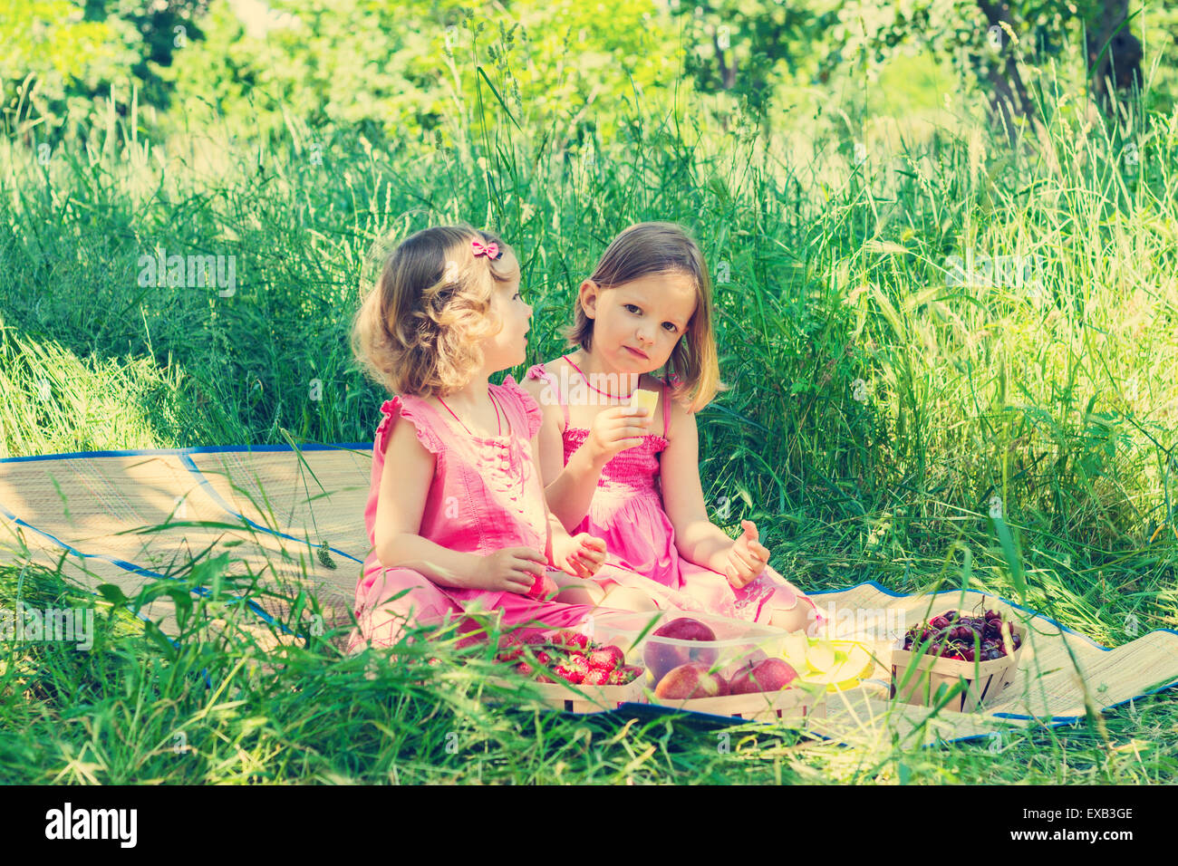 Small cute funny girls (sisters) at the picnic. Selective focus. Stock Photo