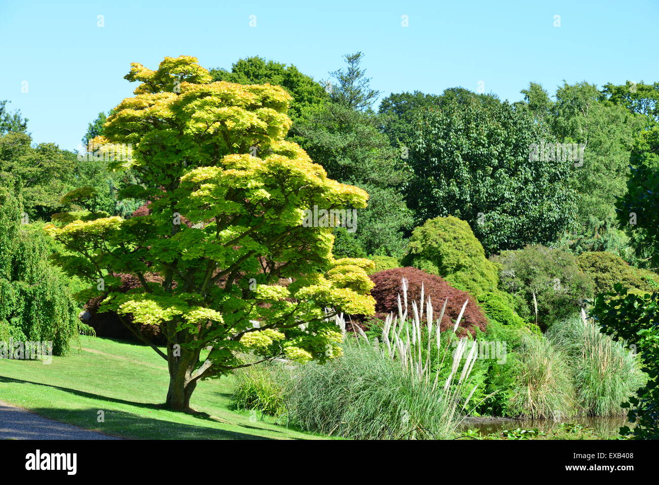 Wakehurst Place in West Sussex Stock Photo