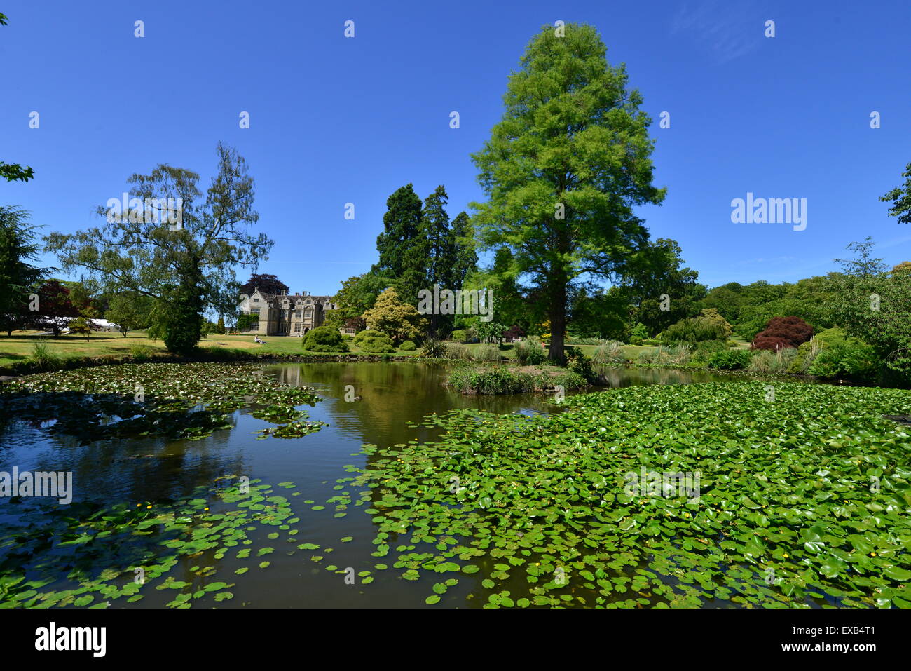 Wakehurst Place in West Sussex Stock Photo