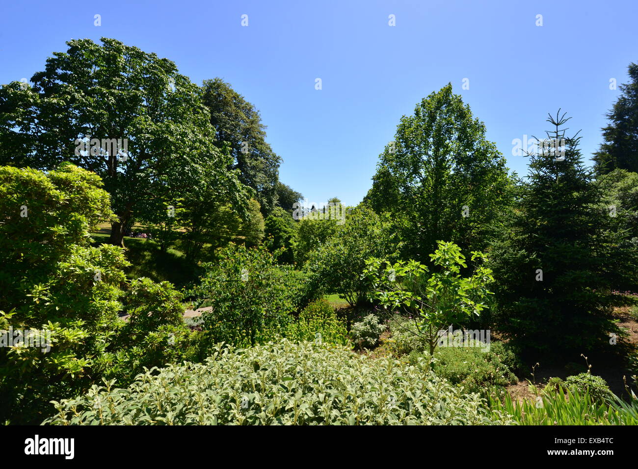 Wakehurst Place in West Sussex Stock Photo