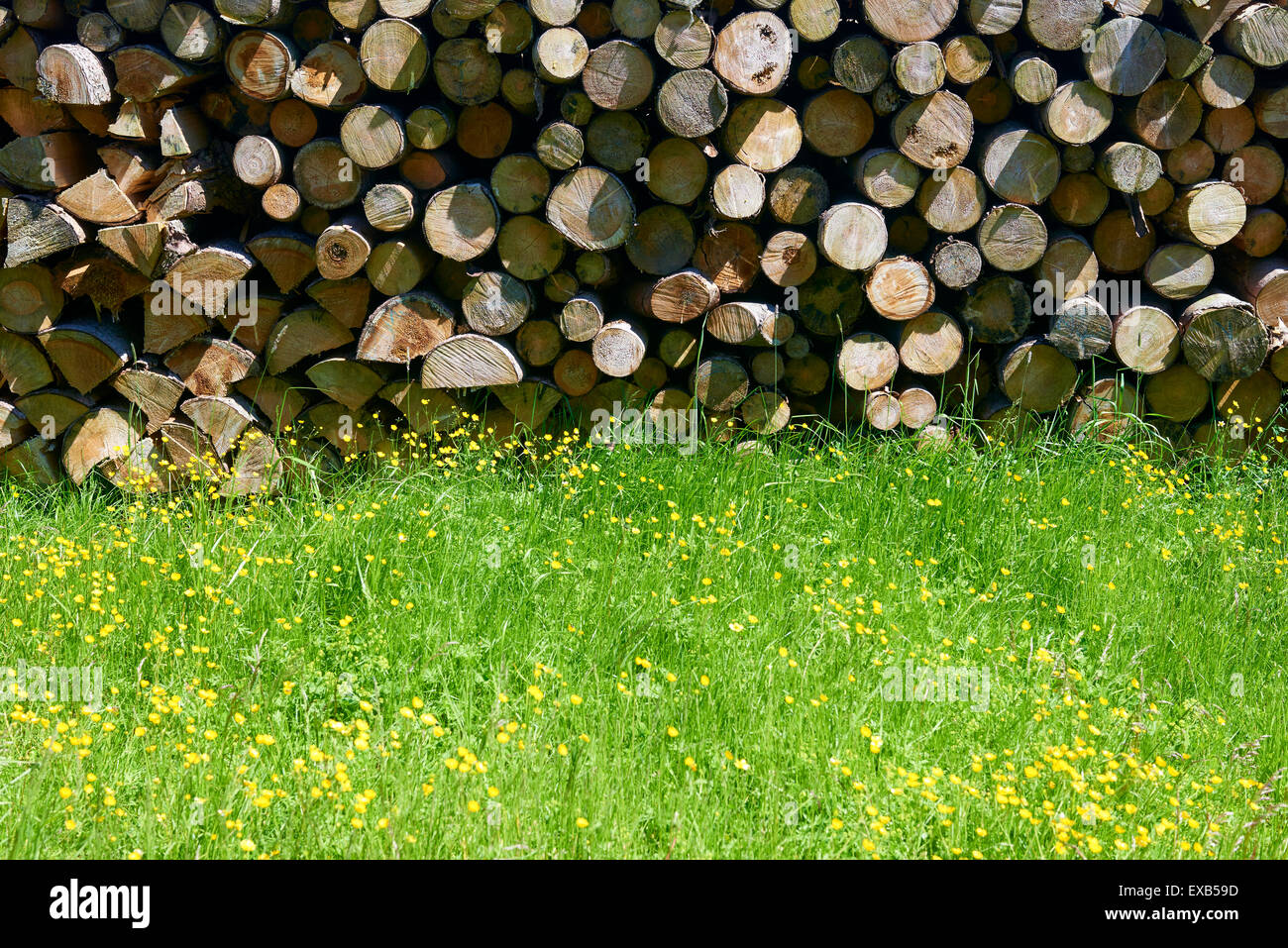 Stack Of Fire Wood Stock Photo - Alamy