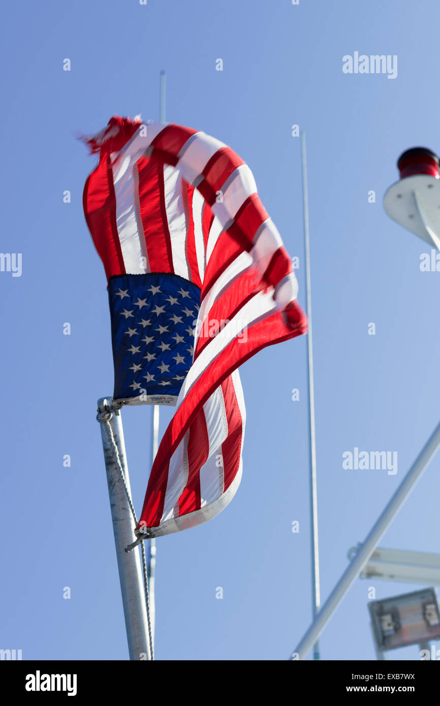Hang a Flag on a Pole PNG.