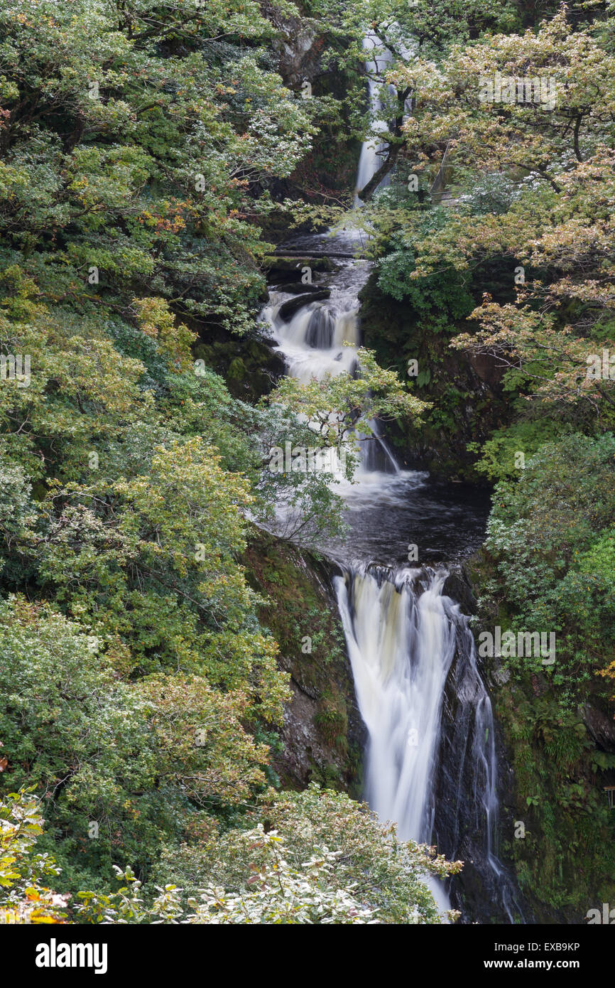 Mynach Falls or Rhaeadr Mynach a waterfall in Autumn or Fall. Devil’s Bridge, Pontarfynach, Hafod estate, Ceredigion, Wales, Uni Stock Photo