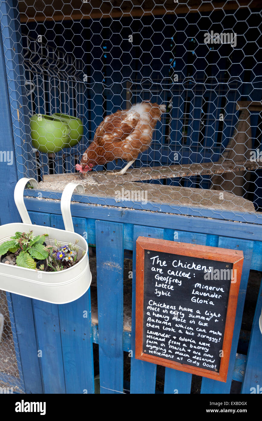 Chicken coop at Cody Dock, Canning Town, London, UK Stock Photo Alamy