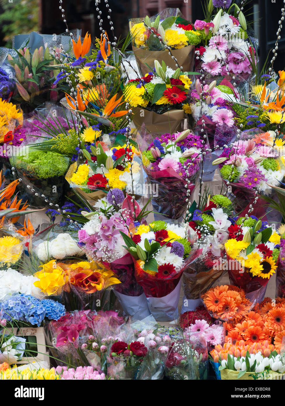 Flowers for sale Stock Photo Alamy