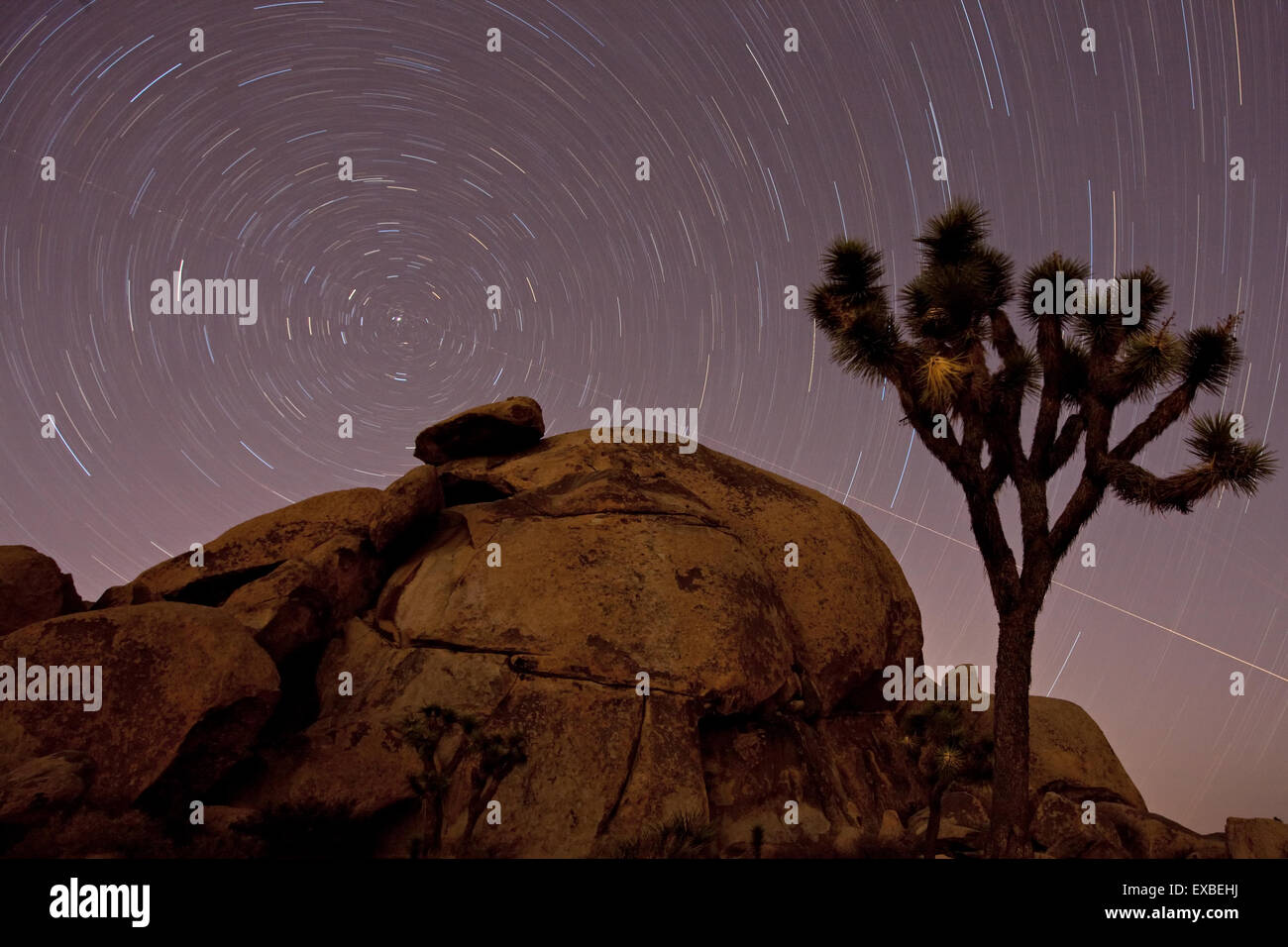 Night sky star trail around the northern star, Joshua Tree, Joshua Tree National Park, Mojave Desert, California, USA, Stock Photo