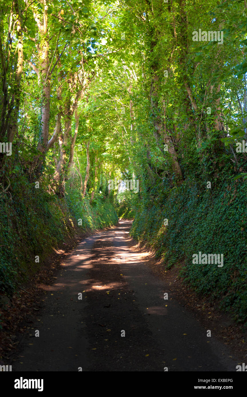 Countryside lane in Batheaston, Bath, Somerset, England, UK Stock Photo