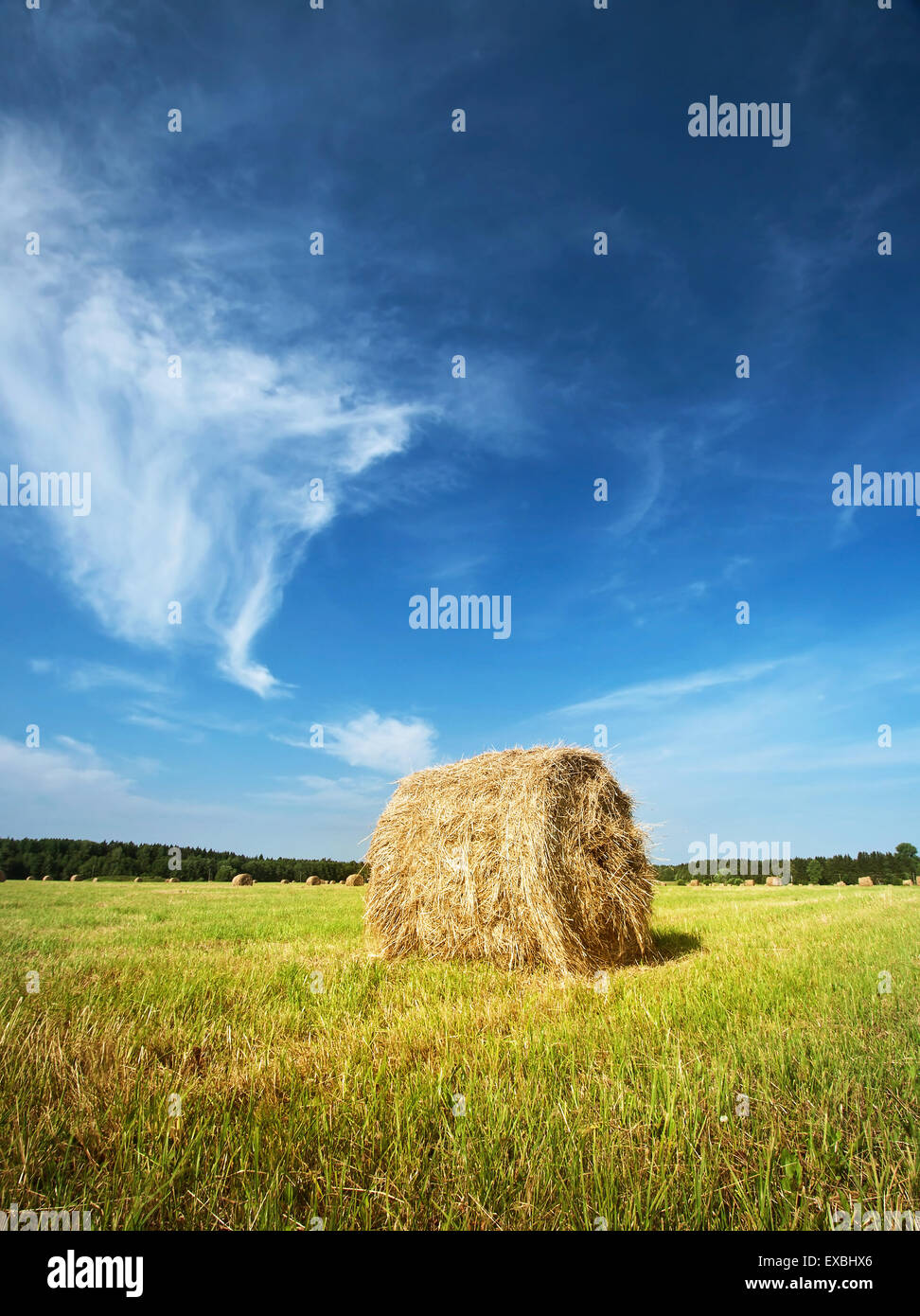Hay bales with blue sky Stock Photo - Alamy