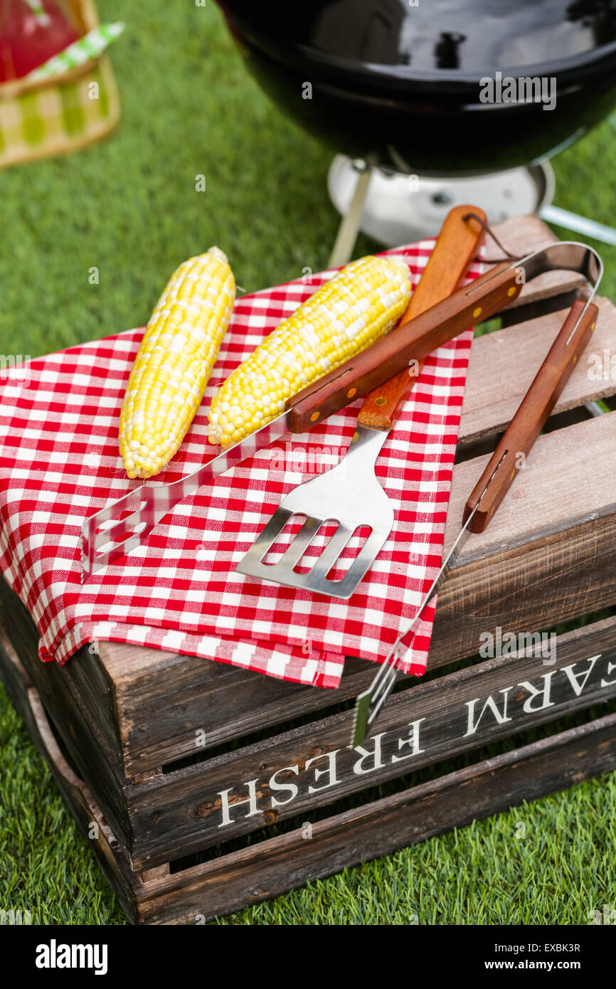 Summer picnic with small charcoal grill in the park Stock Photo Alamy