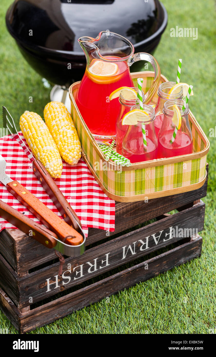 Summer picnic with small charcoal grill in the park Stock Photo Alamy