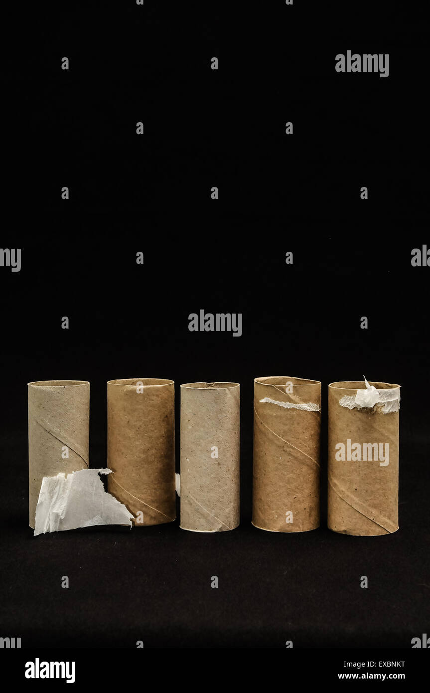 Empty Toilet Paper Roll Stock Photo Alamy