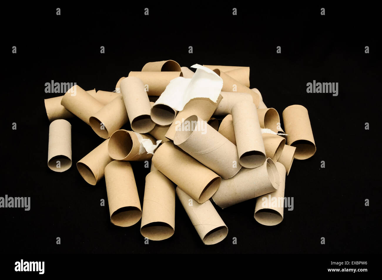 Empty Toilet Paper Roll Stock Photo Alamy
