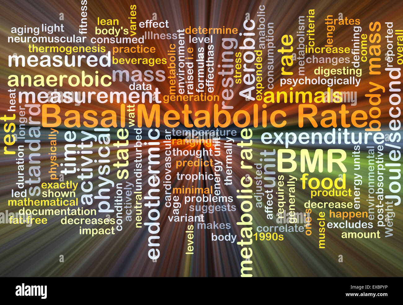 Background concept wordcloud illustration of basal metabolic rate BMR