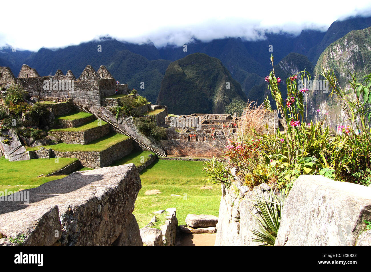 Machu Picchu - Peru Stock Photo - Alamy