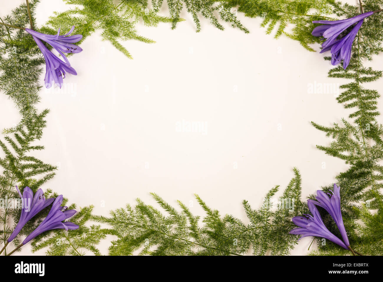plants forming frame for design Stock Photo - Alamy