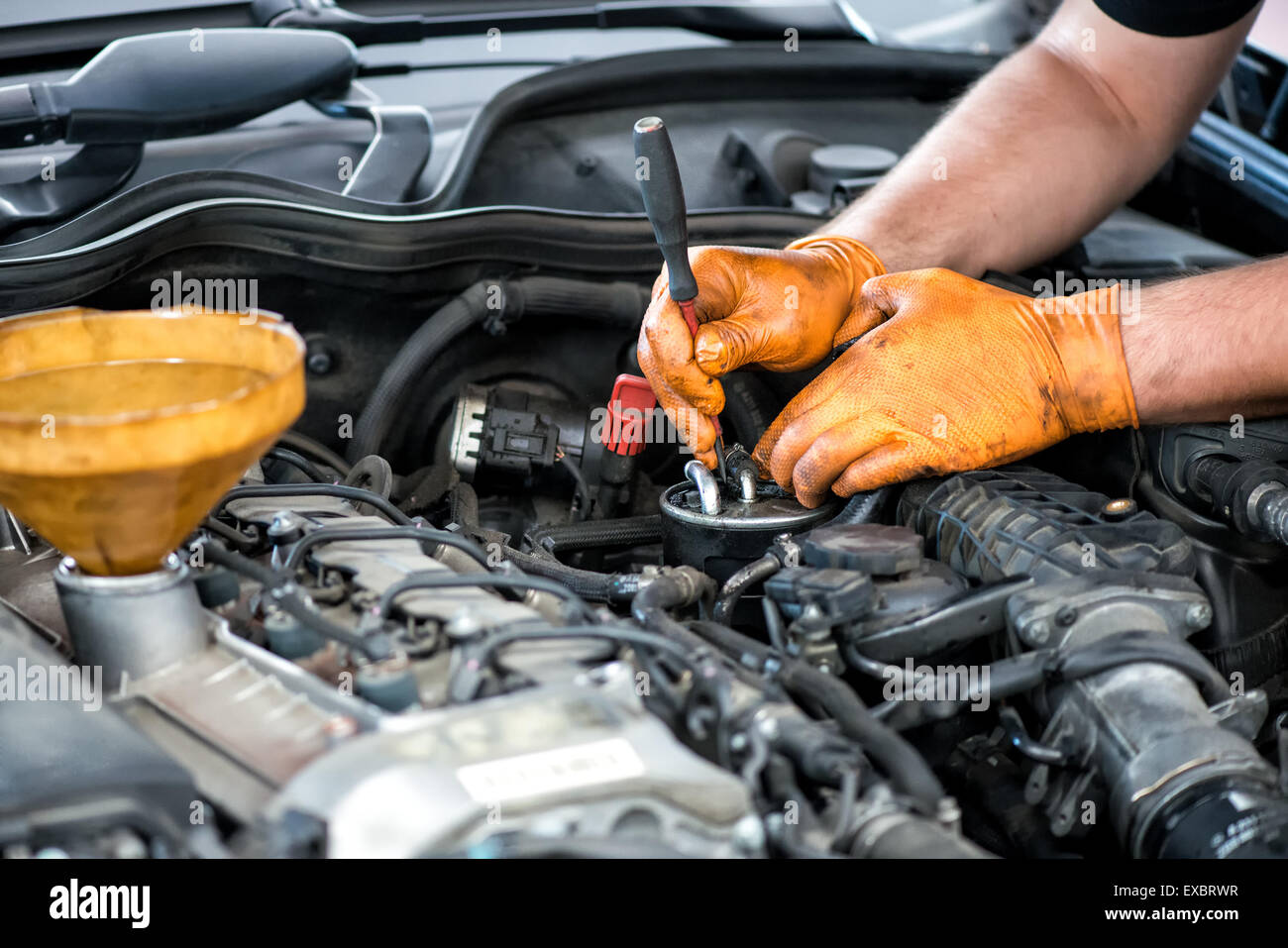 Mechanic working on a diesel filter, close up Stock Photo - Alamy