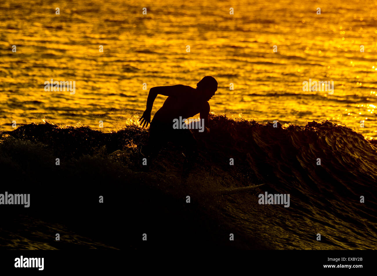 Silhouette Surfer at Sunset Stock Photo - Alamy