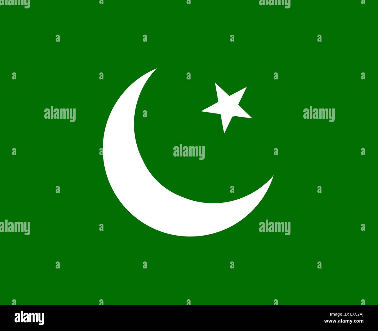 Pakistan flag Stock Vector