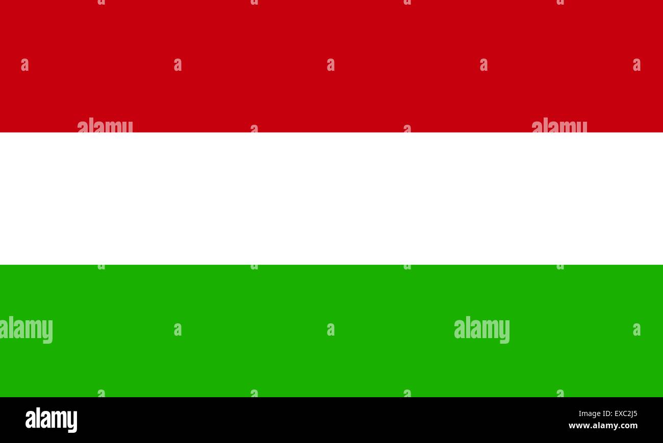 Hungary flag Stock Vector