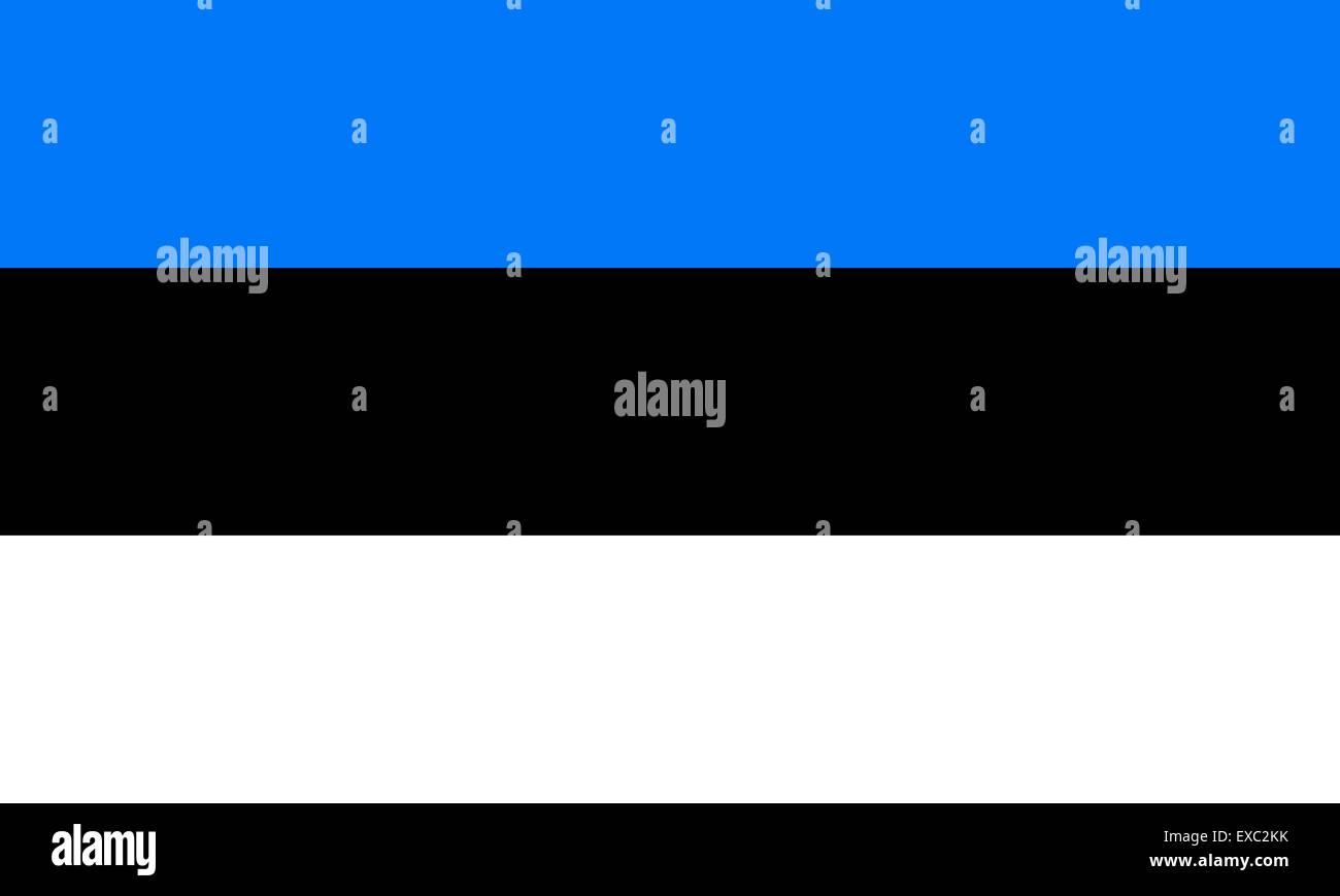 Estonia flag Stock Vector