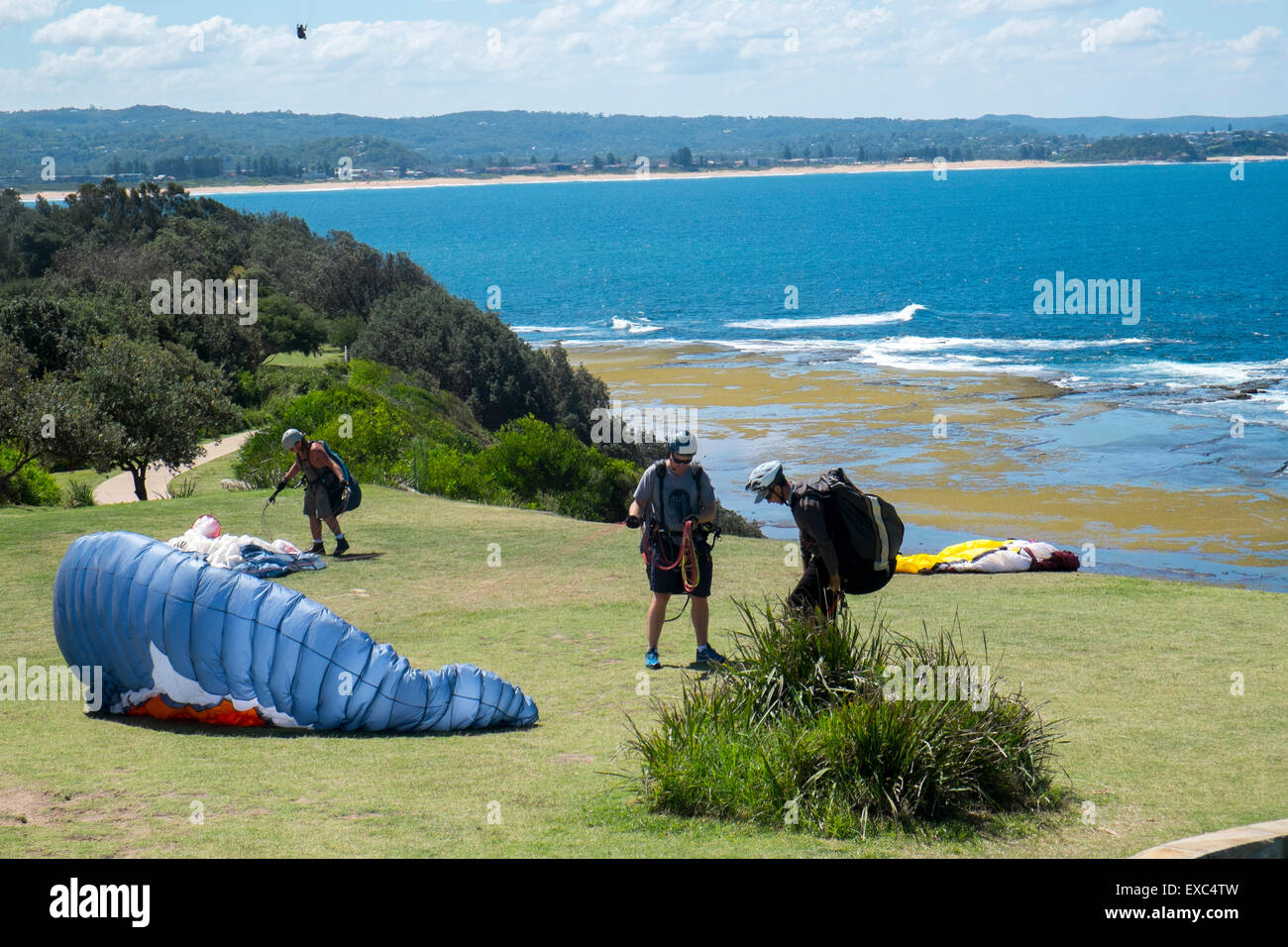 Paragliding off the cliff end at Long Reef on Sydney's northern beaches,new south wales,australia Stock Photo
