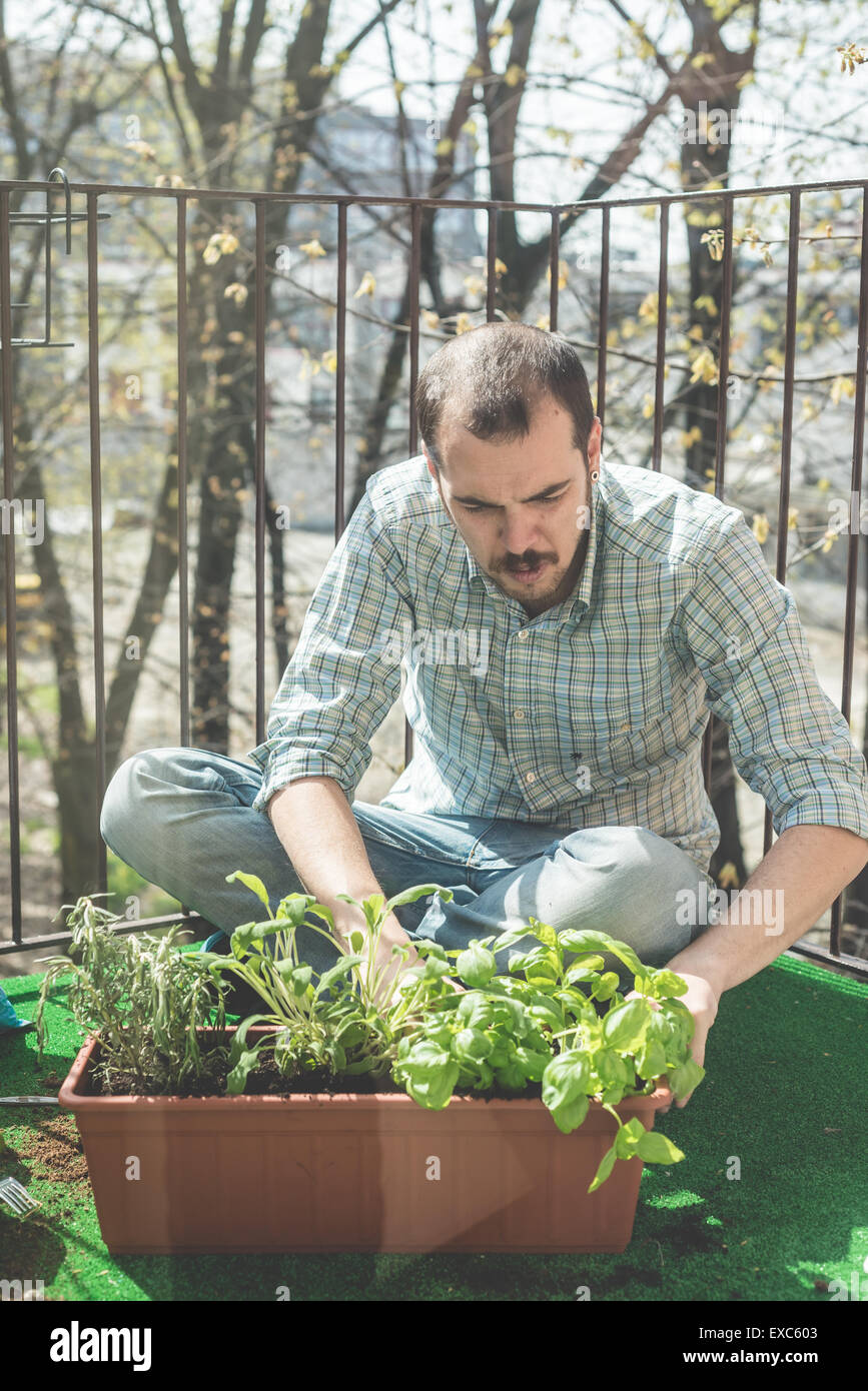Male hands planting basil hi-res stock photography and images - Alamy