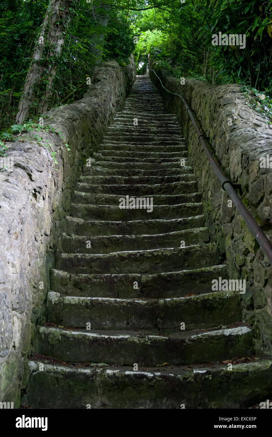 Steep steps carved into rockface, Bonchurch, Isle of Wight, UK Stock Photo  - Alamy