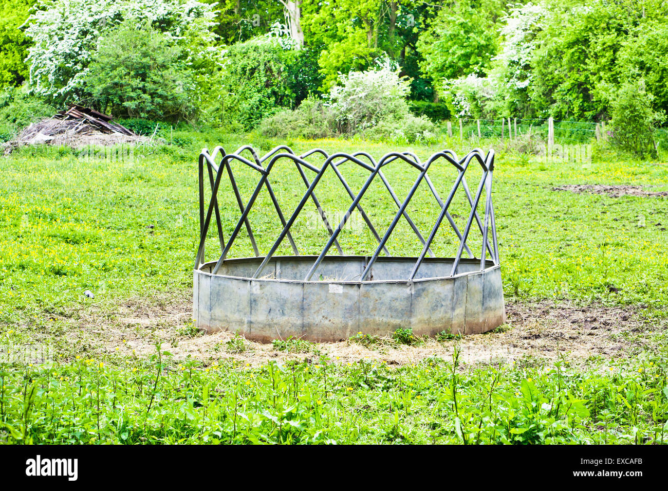 Feeding Trough High Resolution Stock Photography and Images Alamy