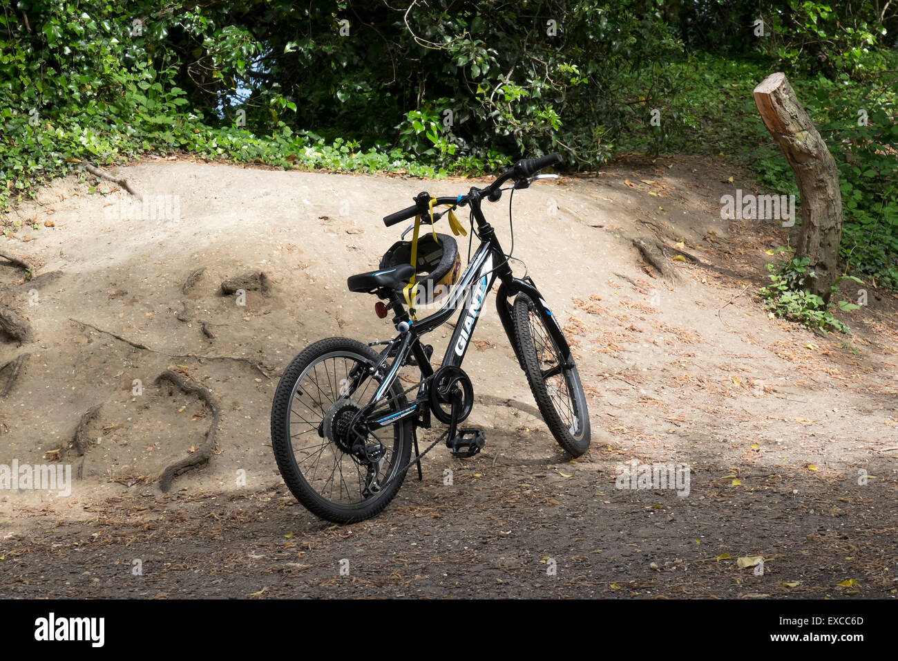 Boy's mountain bike parked in Milton Country Park Stock Photo