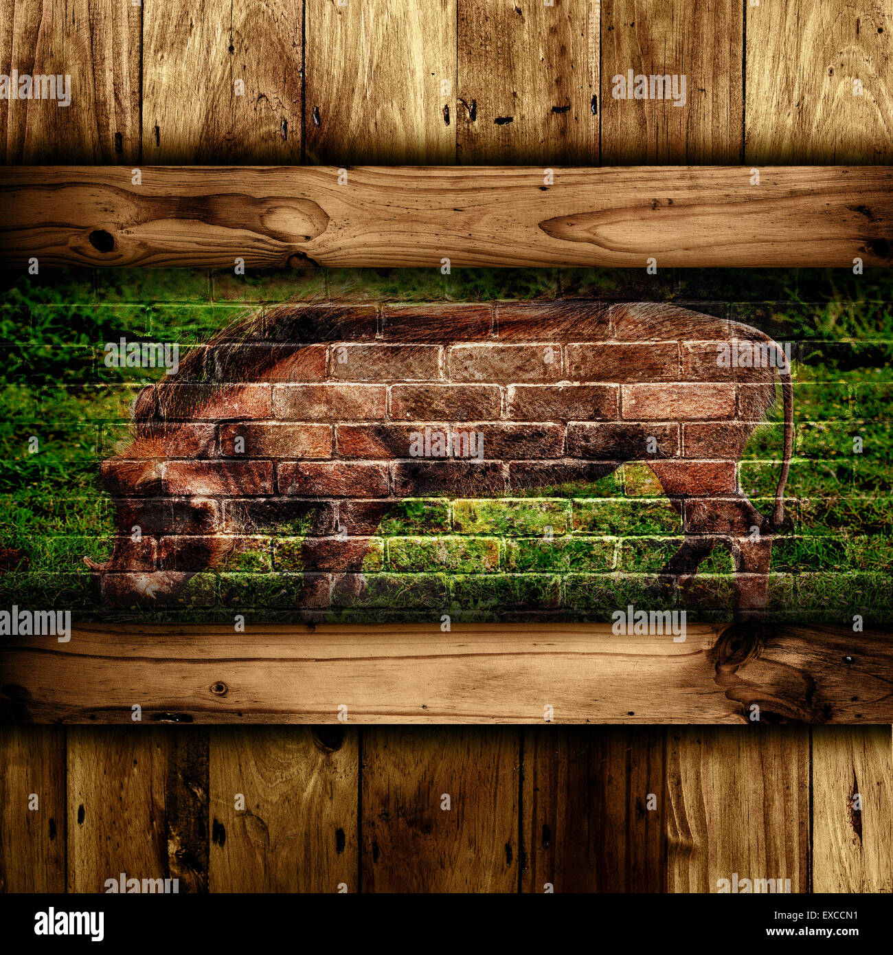 Abstract wooden and brick wall with a warthog on the brick. Stock Photo